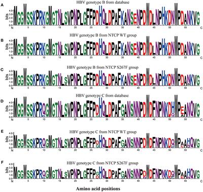 Diverse Effects of the NTCP p.Ser267Phe Variant on Disease Progression During Chronic HBV Infection and on HBV preS1 Variability